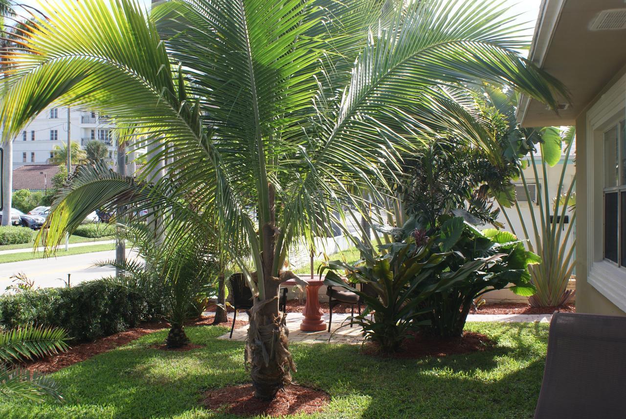 Atlantic Shores Vacation Villas Palm Beach Shores Kültér fotó